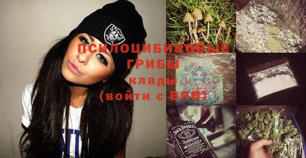 крисы Богданович