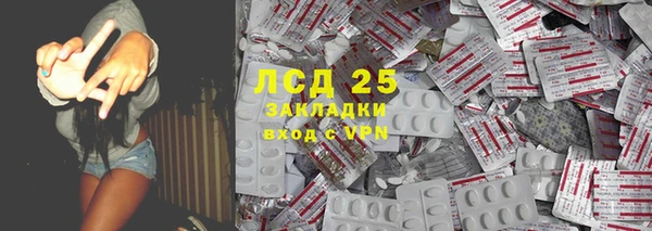 шишки Беломорск