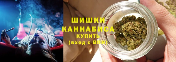 крисы Богданович