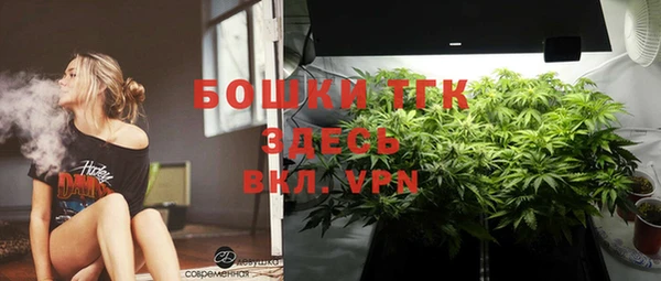 крисы Богданович