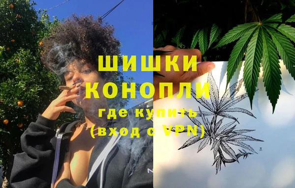 крисы Богданович